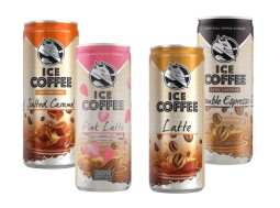 Energy Ice Coffee 250ml (různé druhy)